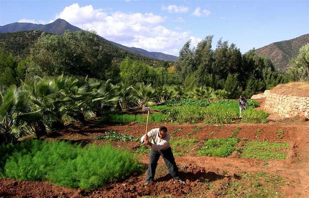 Domaine Malika Otel Moulay Brahim Dış mekan fotoğraf